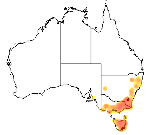 Coprosma hirtella flora location map