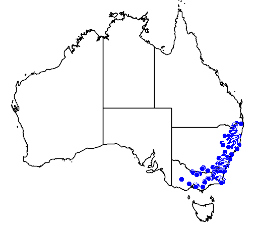 Craspedia canens flora location map