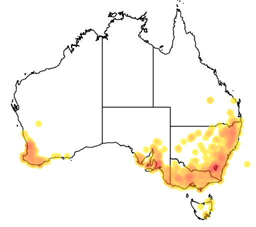 Craspedia variabilis flora location map