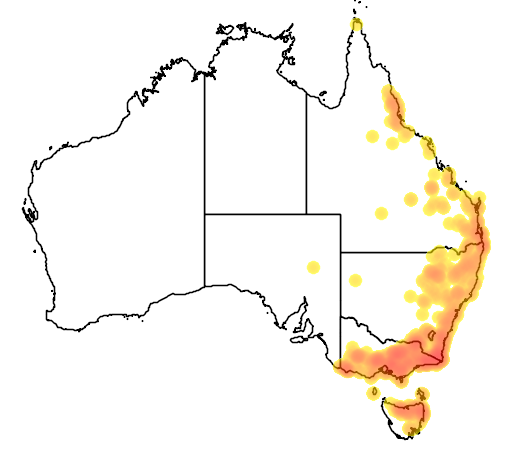 Cyperus lucidus flora location map