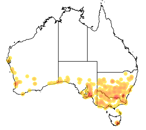 Danthonia caespitosa flora location map