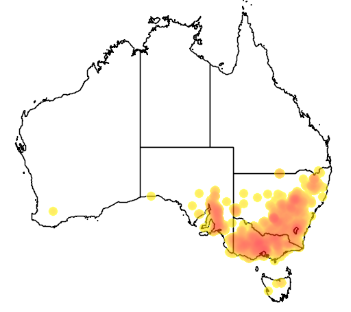 Danthonia eriantha flora location map