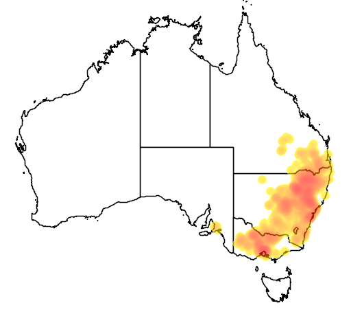 Danthonia linkii flora location map
