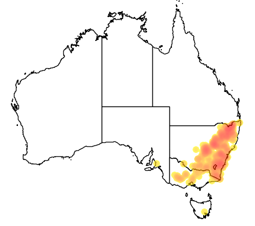 Danthonia monticola flora location map