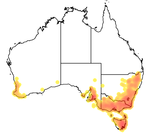 Danthonia pilosa flora location map