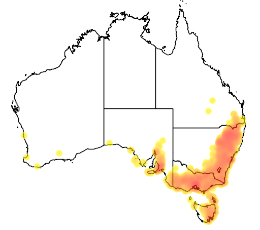 Danthonia racemosa flora location map
