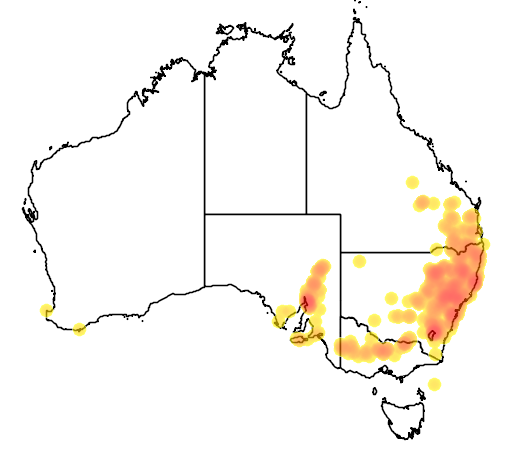 Daviesia genistifolia flora location map