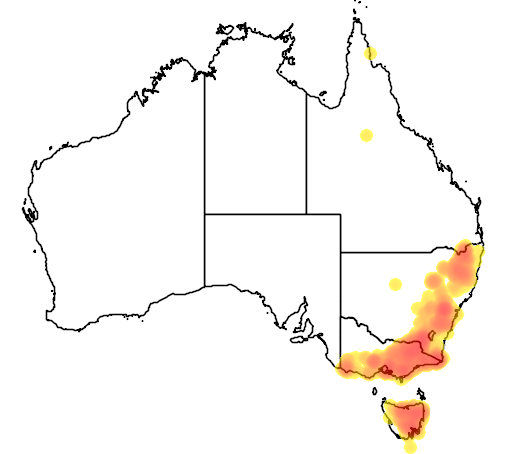 Daviesia latifolia flora location map