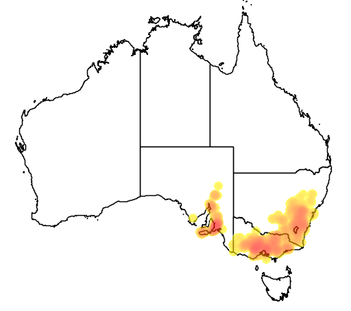 Daviesia leptophylla flora location map