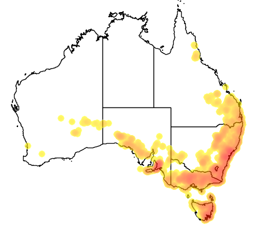 Daviesia ulicifolia flora location map