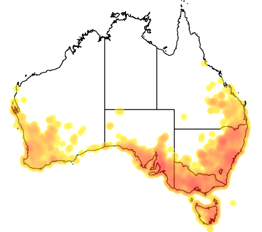 Dianella revoluta flora location map