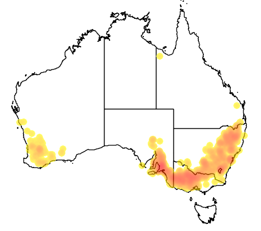 Dichopogon strictus flora location map