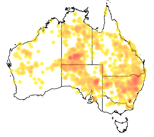 Digitaria brownii flora location map