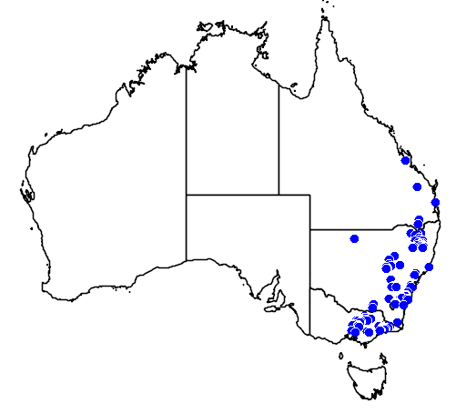 Dillwynia juniperina flora location map