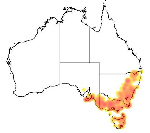 Dillwynia sericea flora location map
