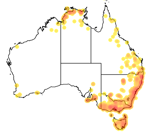Eleocharis sphacelata flora location map