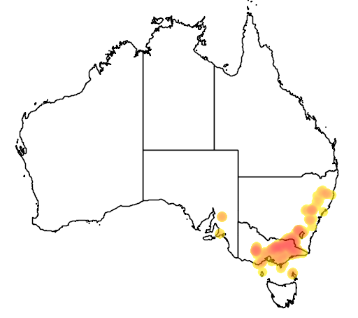 Eucalyptus bicostata flora location map