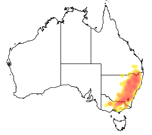 Eucalyptus blakelyi flora location map