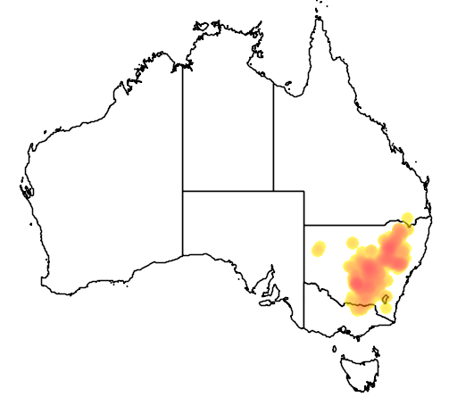 Eucalyptus dwyeri flora location map