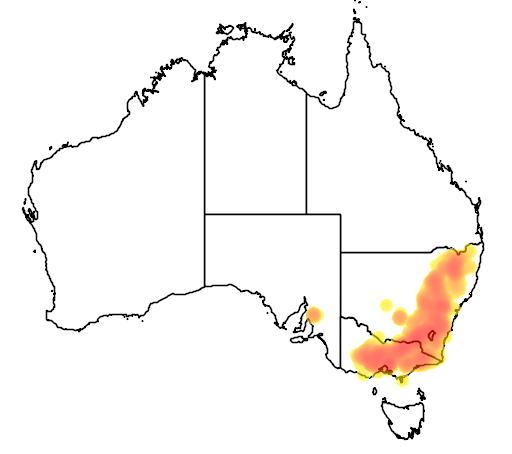Eucalyptus macrorhyncha flora location map