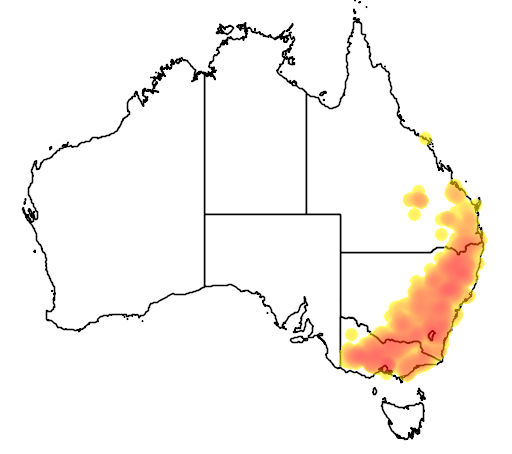 Eucalyptus melliodora flora location map