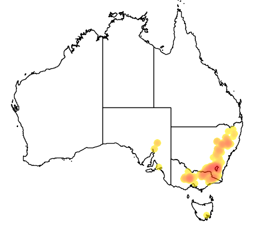 Eucalyptus nortonii flora location map