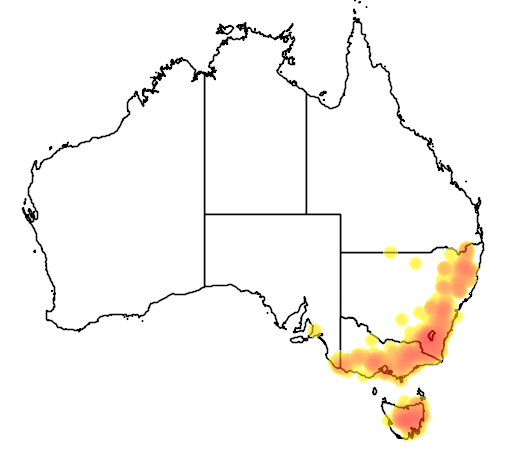 Eucalyptus pauciflora flora location map