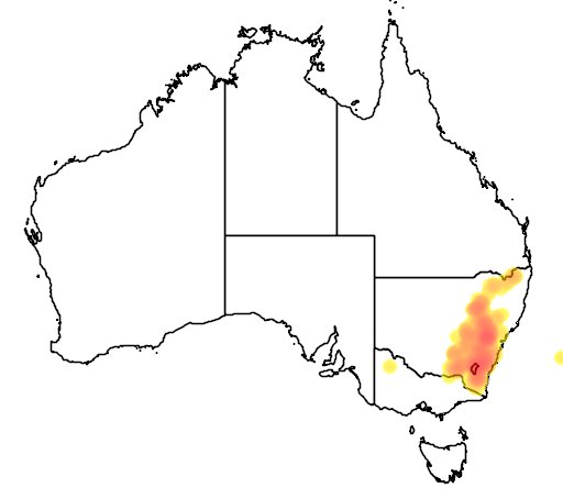 Eucalyptus rossii flora location map
