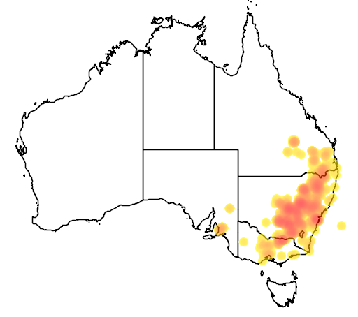 Eucalyptus sideroxylon flora location map