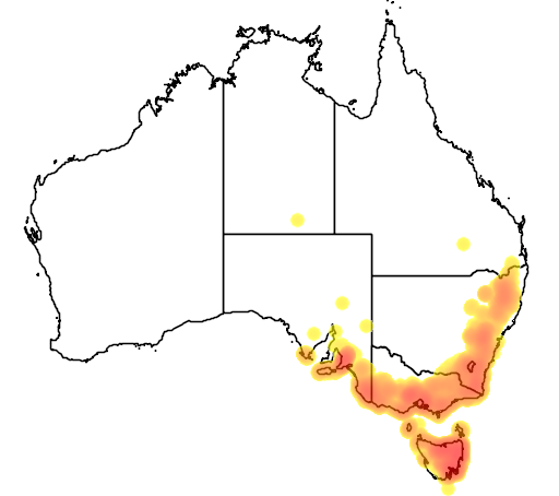 Eucalyptus viminalis flora location map