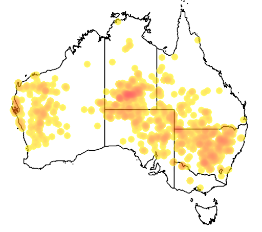 Glycine canescens flora location map