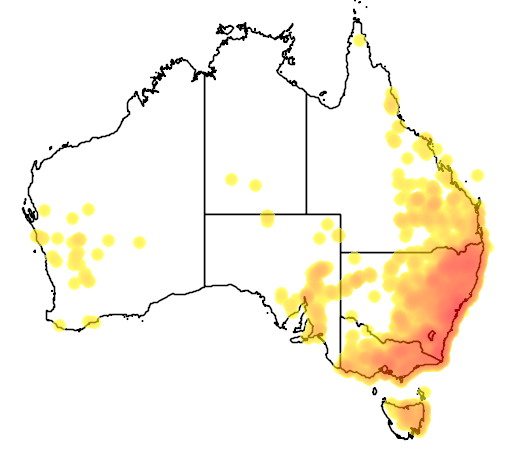 Glycine clandestina flora location map