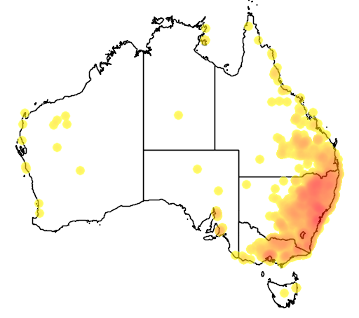 Glycine tabacina flora location map
