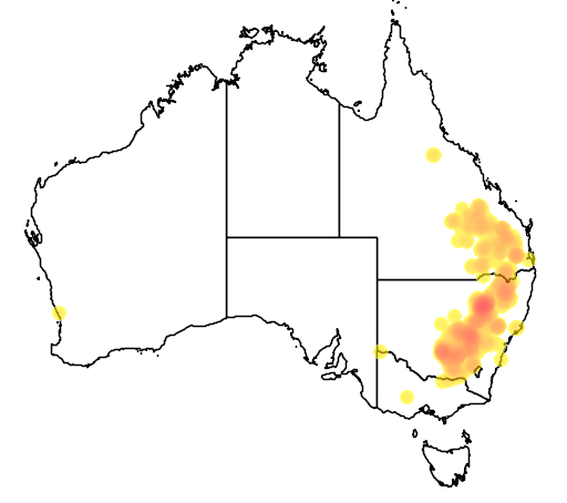 Grevillea floribunda flora location map