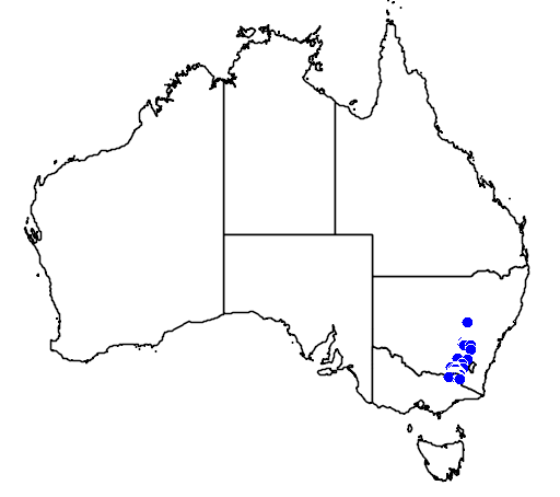 Grevillea polybractea flora location map