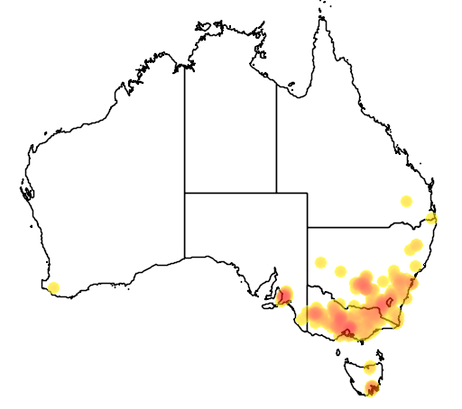 Grevillea rosmarinifolia flora location map