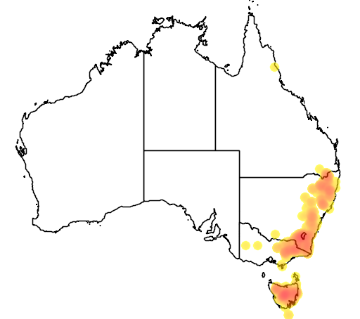 Hakea microcarpa flora location map