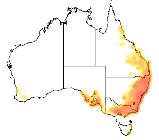 Hardenbergia violacea flora location map