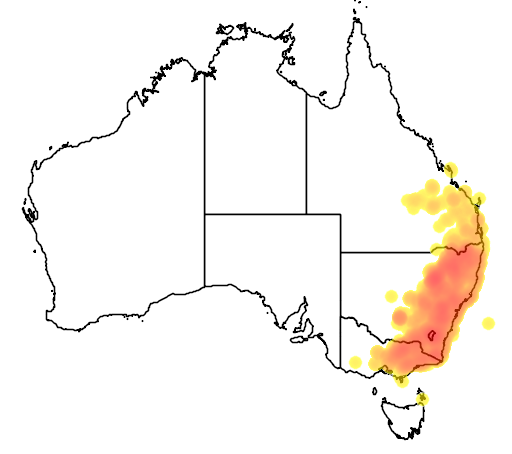 Hibbertia obtusifolia flora location map