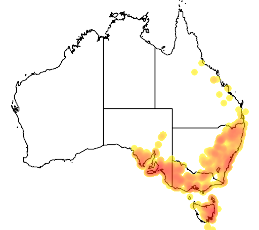 Hibbertia riparia flora location map