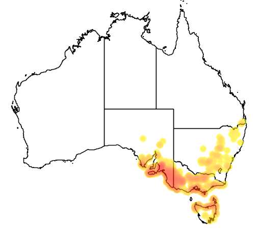 Hibbertia sericea flora location map
