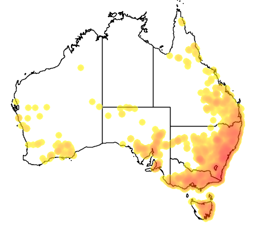 Indigofera australis flora location map