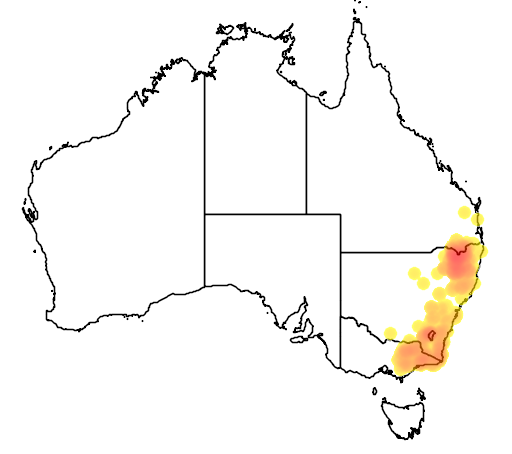 Leptospermum brevipes flora location map