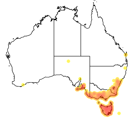 Leptospermum lanigerum flora location map