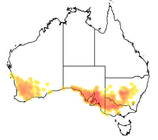 Lomandra effusa flora location map