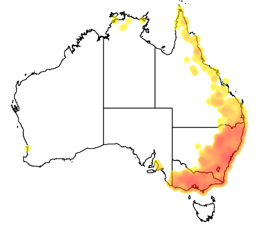 Lomandra filiformis flora location map