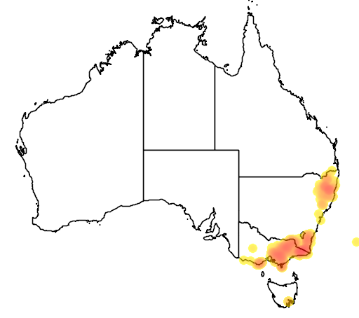 Lomatia fraseri flora location map