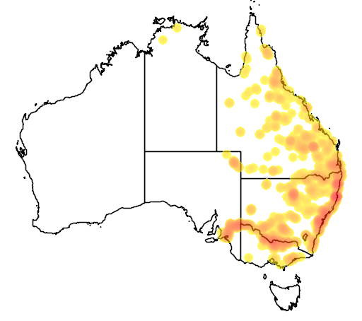 Ludwigia peploides flora location map