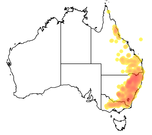 Melichrus urceolatus flora location map