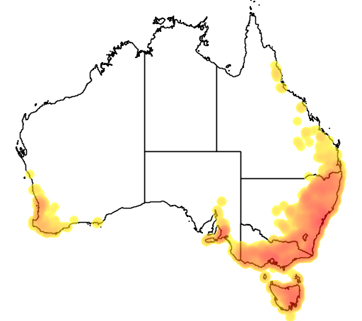 Microlaena stipoides flora location map